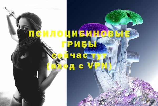 ГАЛЛЮЦИНОГЕННЫЕ ГРИБЫ Алзамай